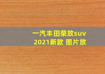 一汽丰田荣放suv2021新款 图片放